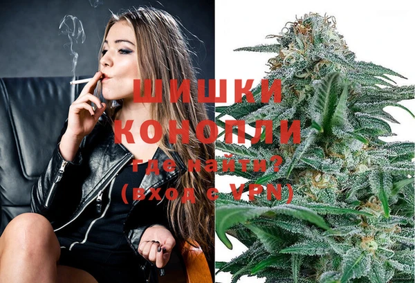 2c-b Пестово