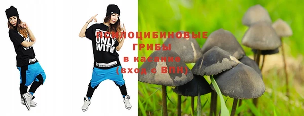 крисы Богородск