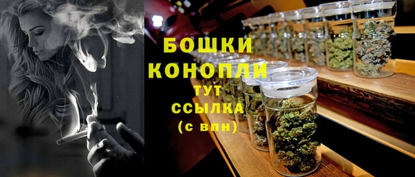 крисы Богородск