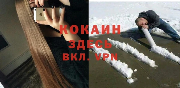 соль ск Богородицк