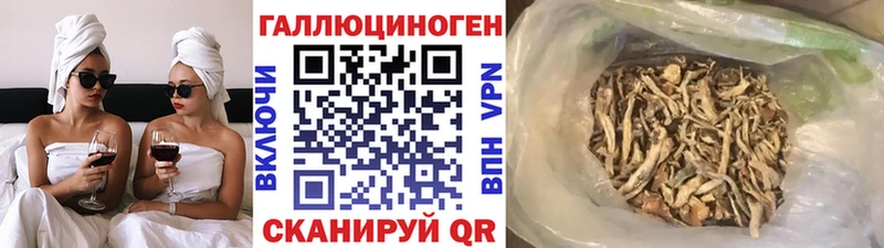Псилоцибиновые грибы Psilocybine cubensis Палласовка
